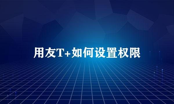 用友T+如何设置权限