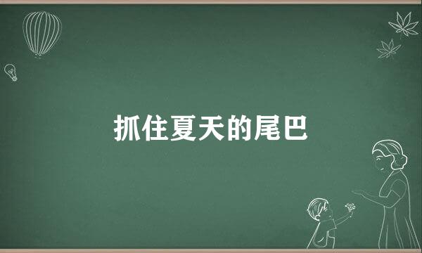 抓住夏天的尾巴