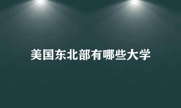 美国东北部有哪些大学