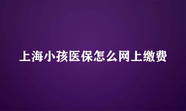 上海小孩医保怎么网上缴费
