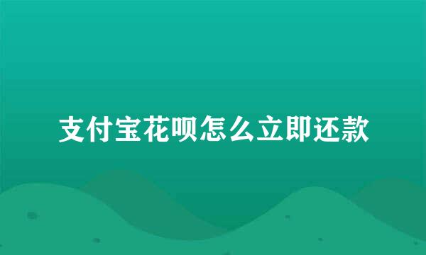 支付宝花呗怎么立即还款