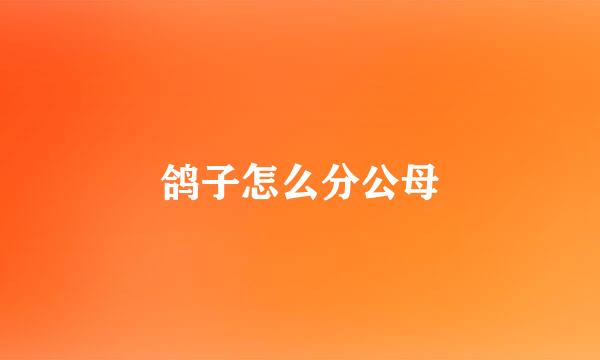 鸽子怎么分公母