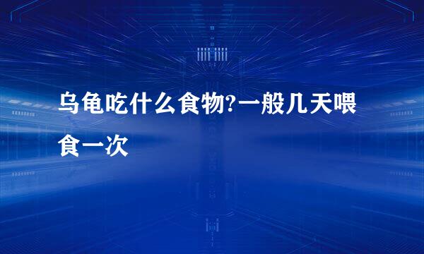 乌龟吃什么食物?一般几天喂食一次