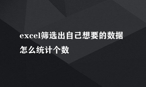 excel筛选出自己想要的数据怎么统计个数