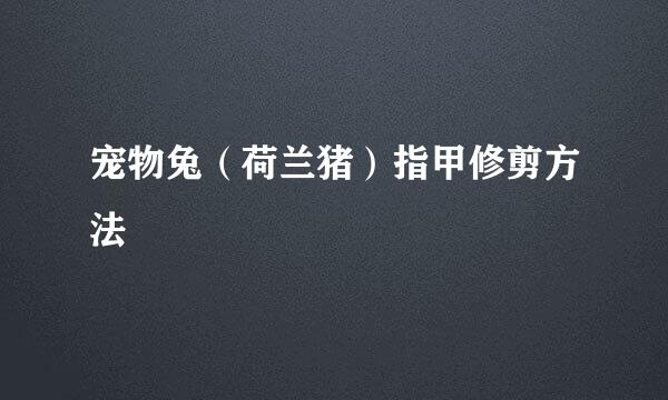 宠物兔（荷兰猪）指甲修剪方法