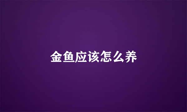金鱼应该怎么养