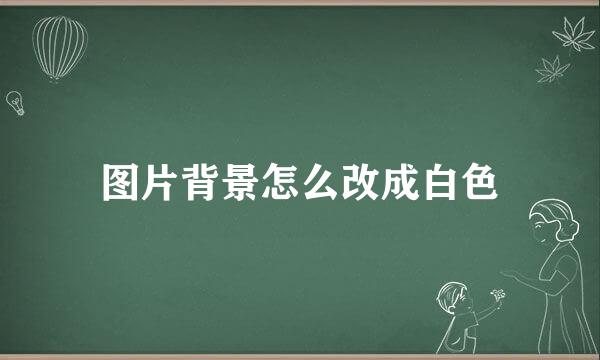 图片背景怎么改成白色