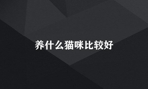 养什么猫咪比较好