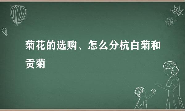 菊花的选购、怎么分杭白菊和贡菊