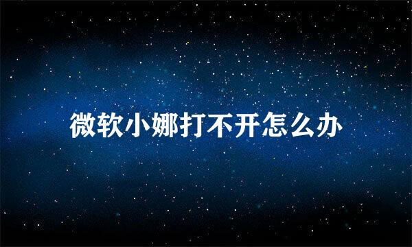 微软小娜打不开怎么办
