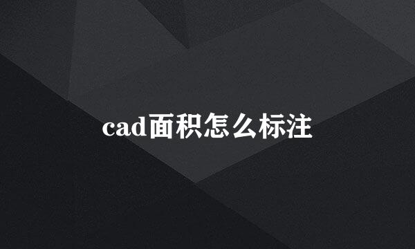 cad面积怎么标注