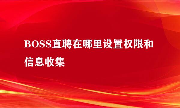 BOSS直聘在哪里设置权限和信息收集