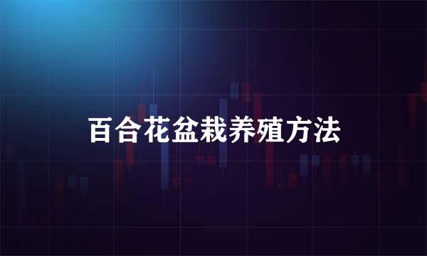 百合花盆栽养殖方法