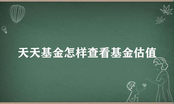 天天基金怎样查看基金估值