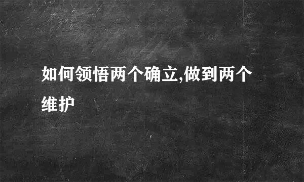 如何领悟两个确立,做到两个维护