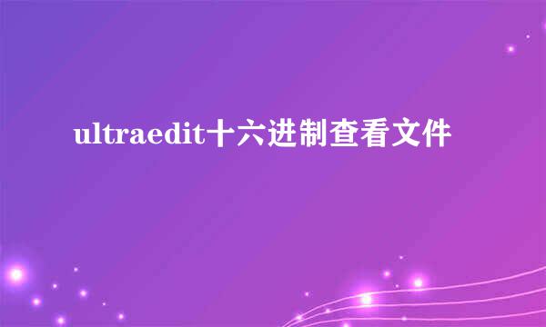 ultraedit十六进制查看文件