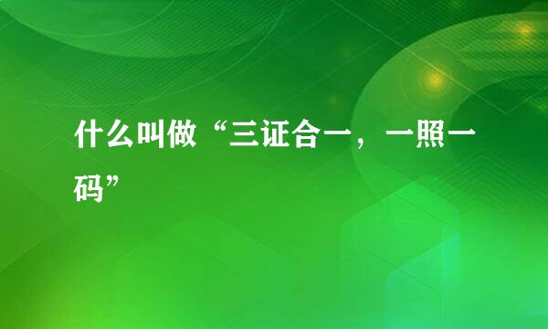 什么叫做“三证合一，一照一码”
