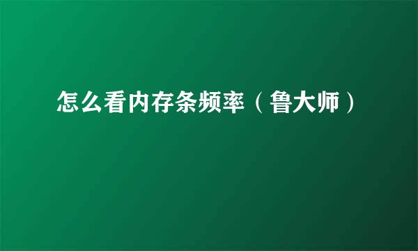 怎么看内存条频率（鲁大师）