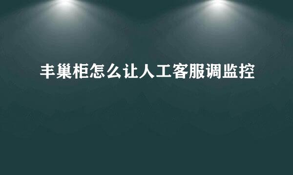 丰巢柜怎么让人工客服调监控