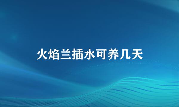 火焰兰插水可养几天