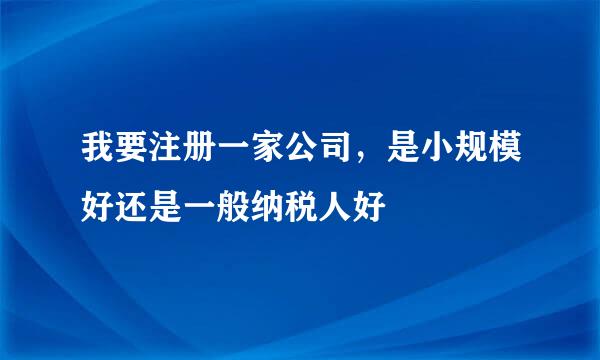我要注册一家公司，是小规模好还是一般纳税人好