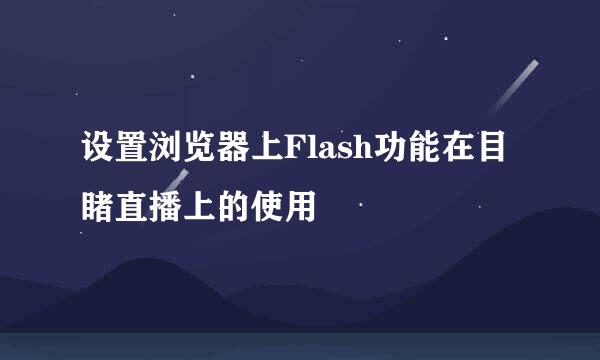 设置浏览器上Flash功能在目睹直播上的使用