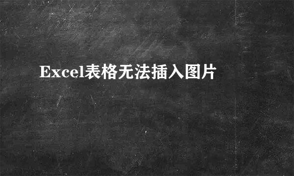 Excel表格无法插入图片