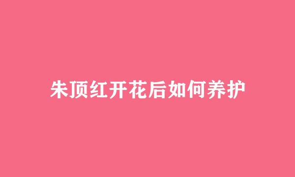 朱顶红开花后如何养护