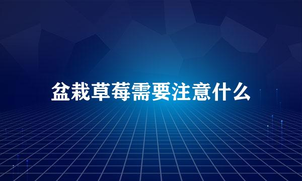 盆栽草莓需要注意什么