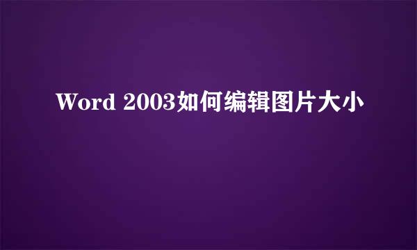 Word 2003如何编辑图片大小