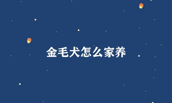金毛犬怎么家养