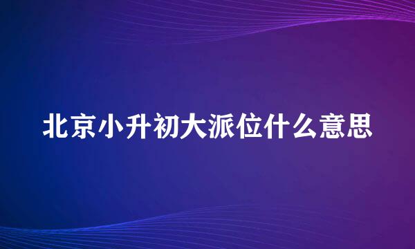 北京小升初大派位什么意思
