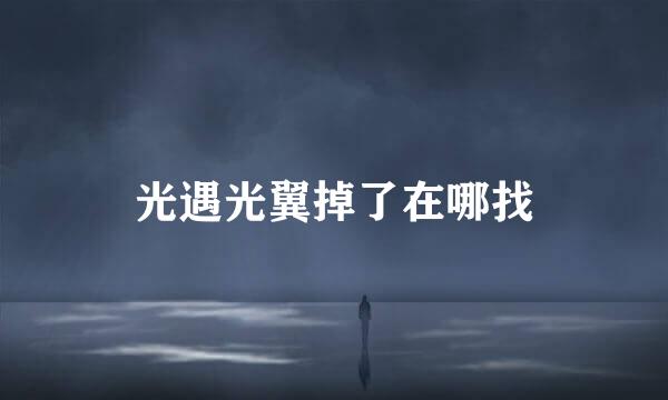 光遇光翼掉了在哪找