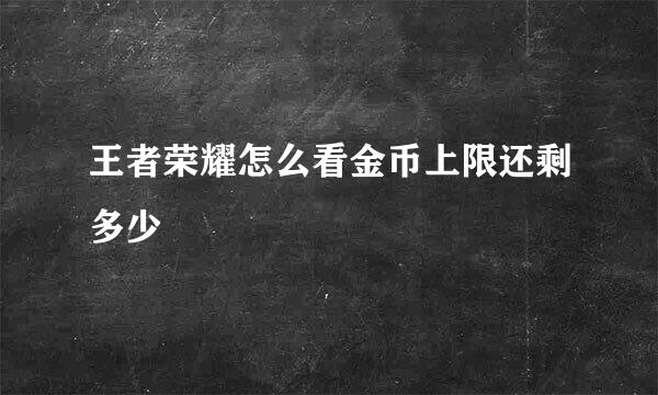 王者荣耀怎么看金币上限还剩多少