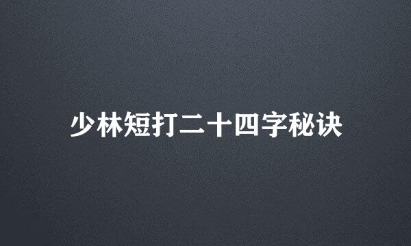 少林短打二十四字秘诀