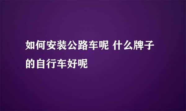 如何安装公路车呢 什么牌子的自行车好呢