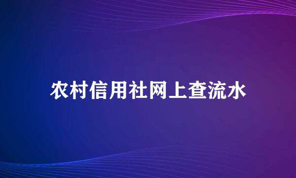 农村信用社网上查流水