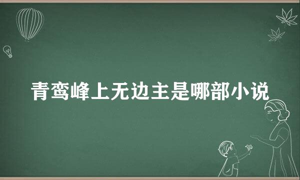 青鸾峰上无边主是哪部小说