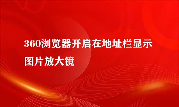 360浏览器开启在地址栏显示图片放大镜