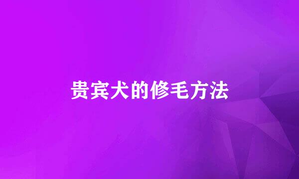 贵宾犬的修毛方法