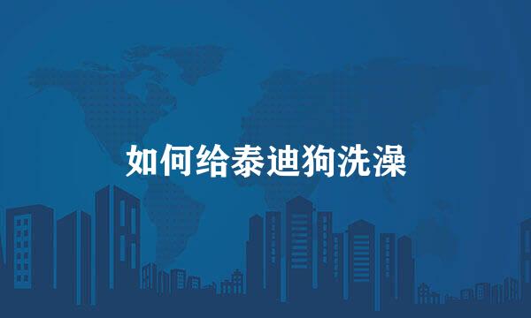 如何给泰迪狗洗澡