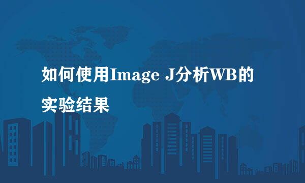 如何使用Image J分析WB的实验结果
