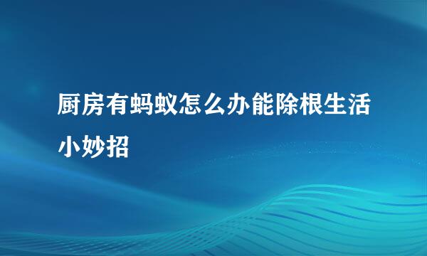 厨房有蚂蚁怎么办能除根生活小妙招