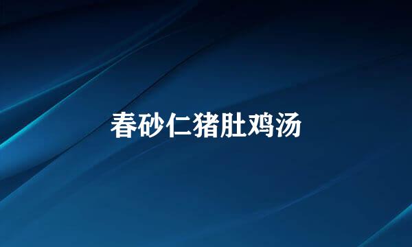 春砂仁猪肚鸡汤
