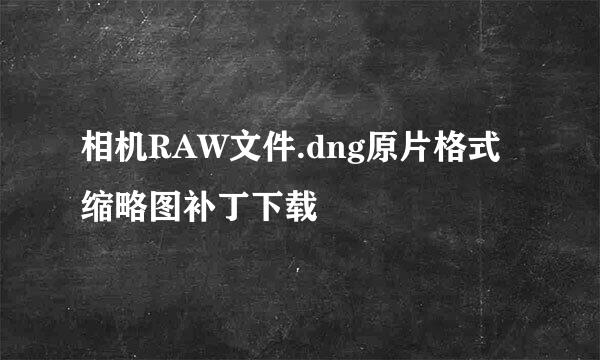 相机RAW文件.dng原片格式缩略图补丁下载