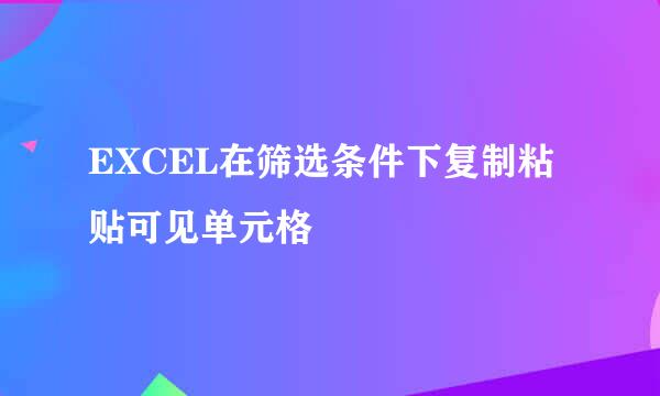 EXCEL在筛选条件下复制粘贴可见单元格