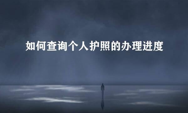 如何查询个人护照的办理进度