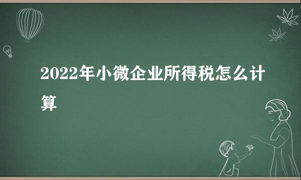 2022年小微企业所得税怎么计算