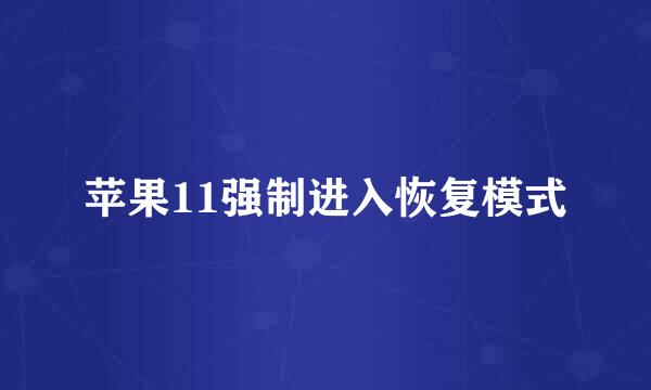 苹果11强制进入恢复模式