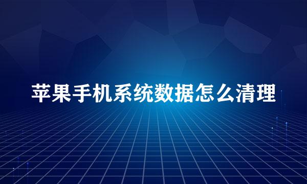 苹果手机系统数据怎么清理